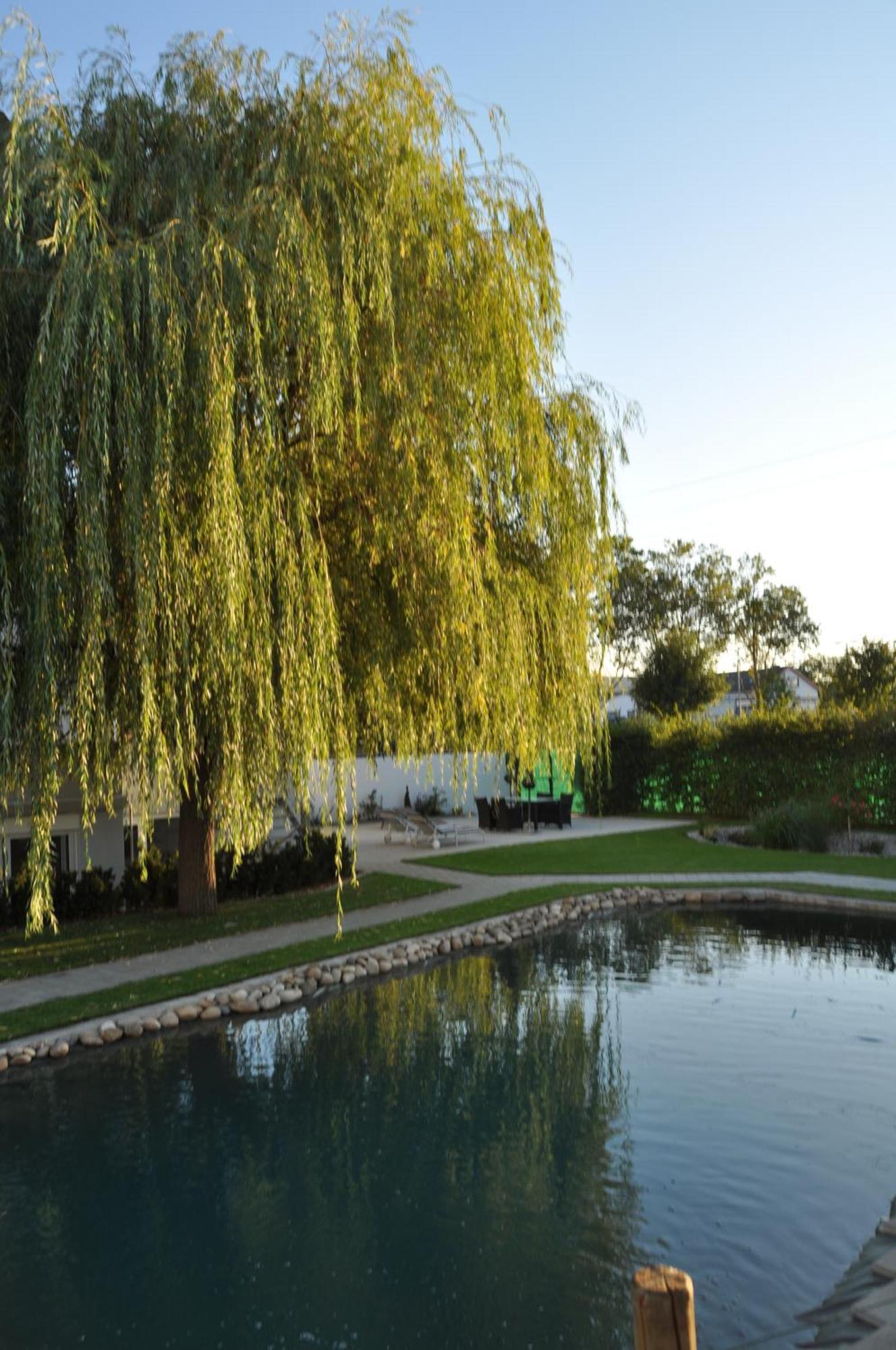 אנדינגן Kirchers Park & Wellnesshotel Kaiserstuhl Garni מראה חיצוני תמונה